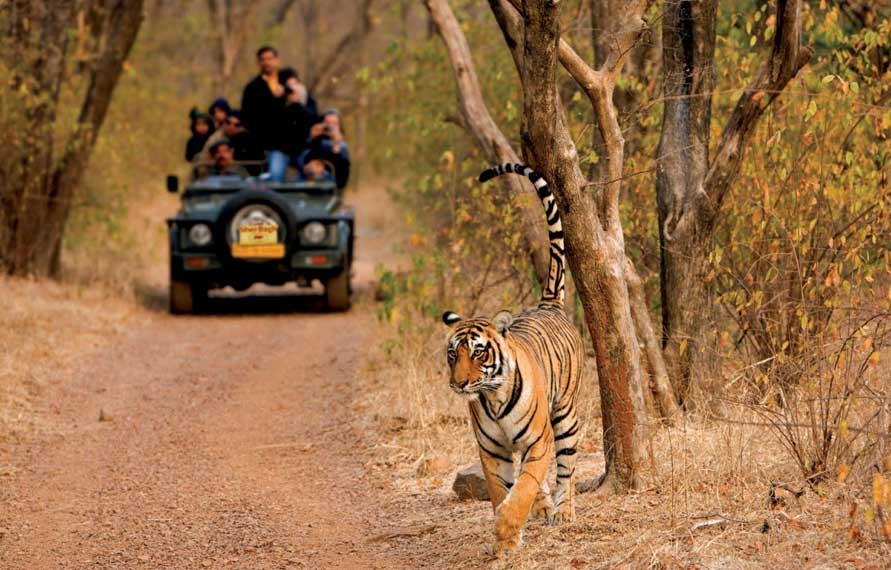 Golden Triangle Tour With Ranthambore