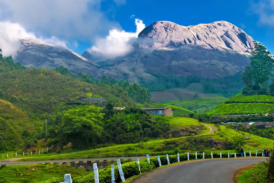 Munnar Travel Guide | Best Places to Visit in Munnar Kerala | Amigo India Tours