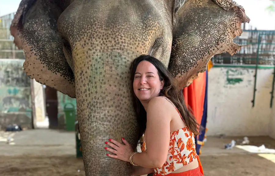 Elephant Safari Tour Jaipur | Royal Heritage Experience