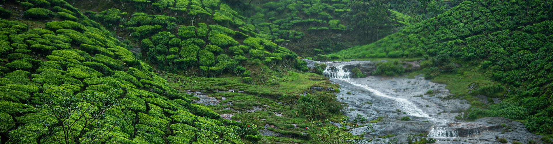 Exotic South India Tour