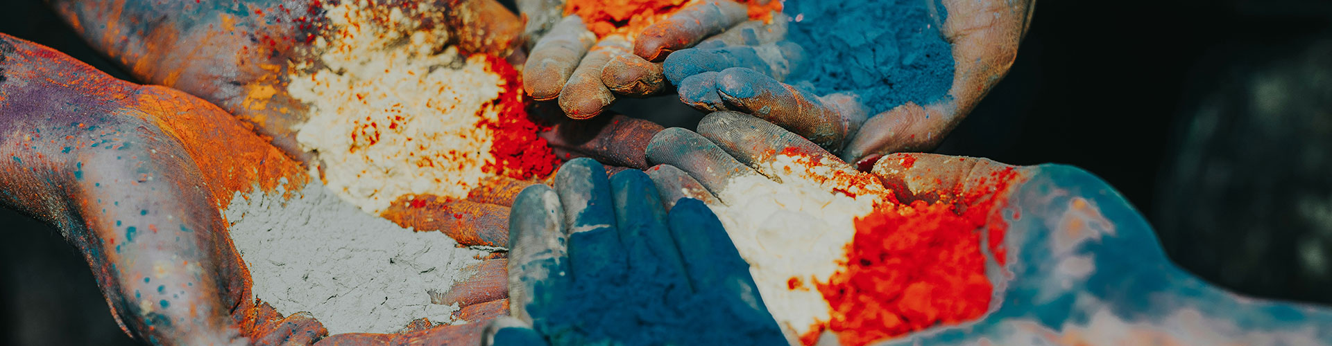 Paquete Tour del Festival de Holi 2027