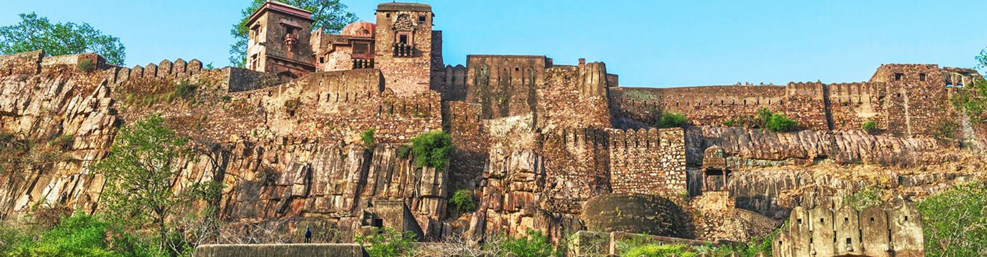 Jaipur Ranthambore Same Day Tour