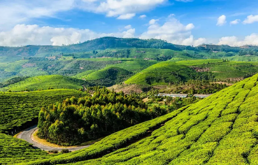 Jewels of South India Tour | 16 Days Karnataka Kerala Tour