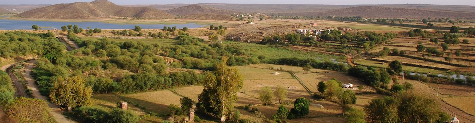 Tour de Fuertes y Palacios de Rajastán