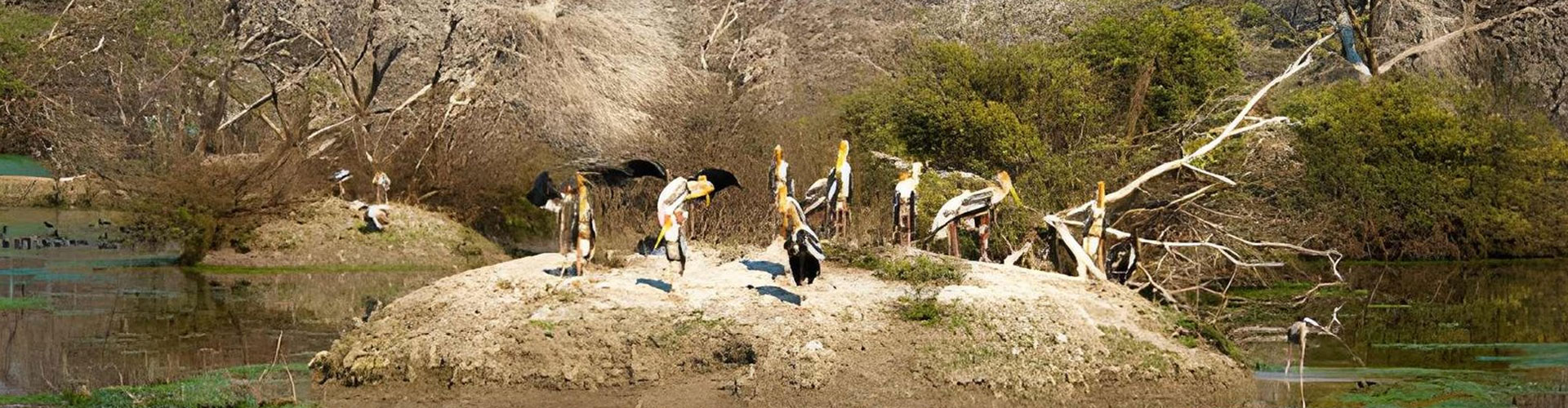 Rajasthan Wildlife Tour